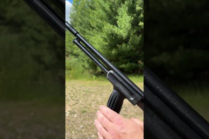 Would you use a .410 for home defense?