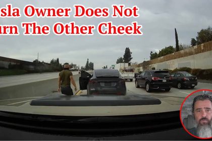 Tesla Owner Does Not Turn The Other Cheek