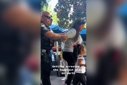 Woman arrested at Disneyland for failing to show ID: video