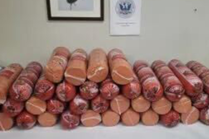 Woman caught smuggling more than 700 pounds of bologna at southern border: CBP