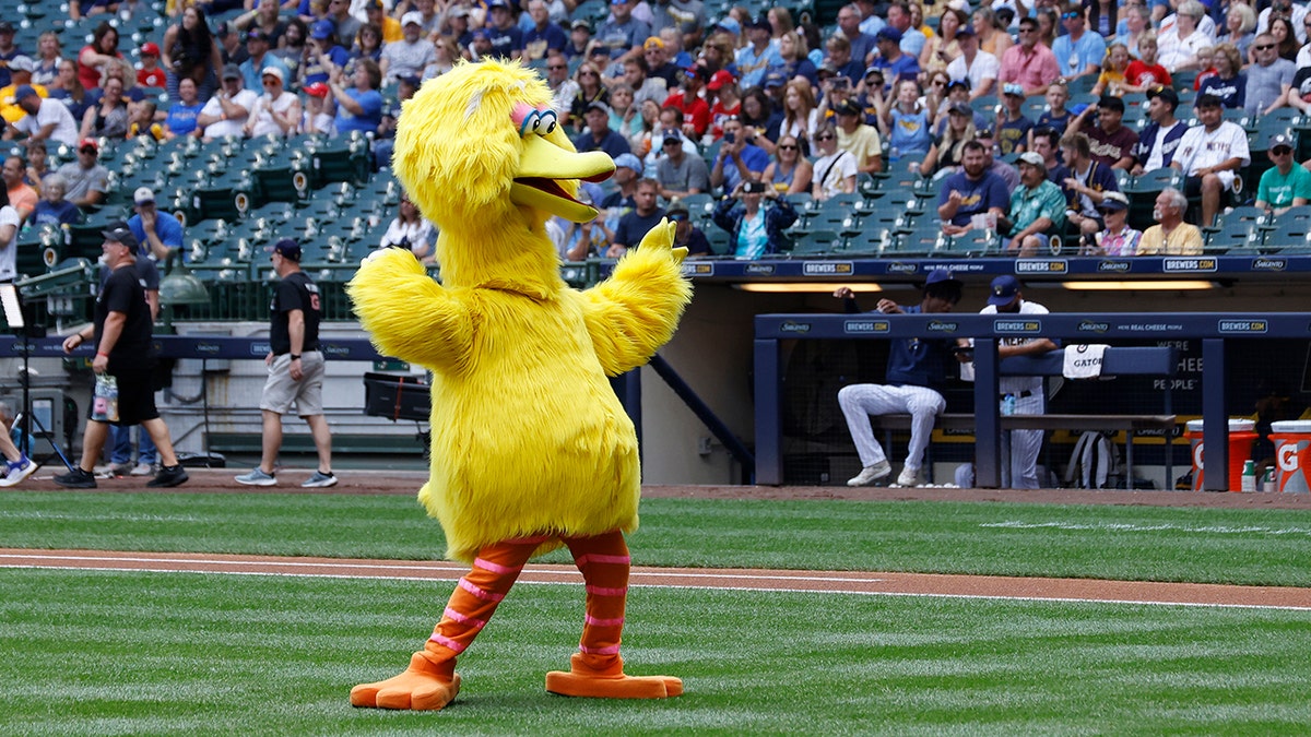 Big Bird costume