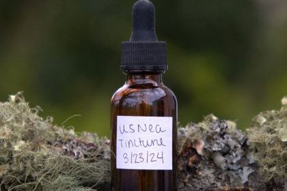 Making Usnea Tincture for a Healthy Homestead When SHTF