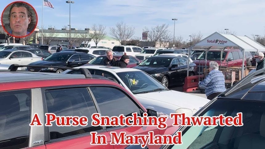 A Purse Snatching Thwarted In Maryland