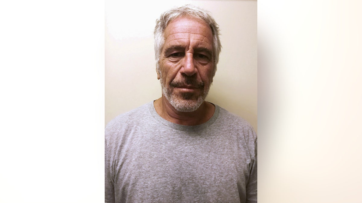 Jeffrey Epstein appears in a photo taken for the NY Division of Criminal Justice Services sex offender registry