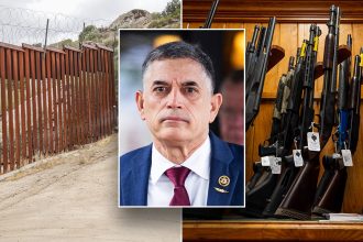 GOP lawmaker unveils effort to ban illegal immigrants from using IDs to buy guns