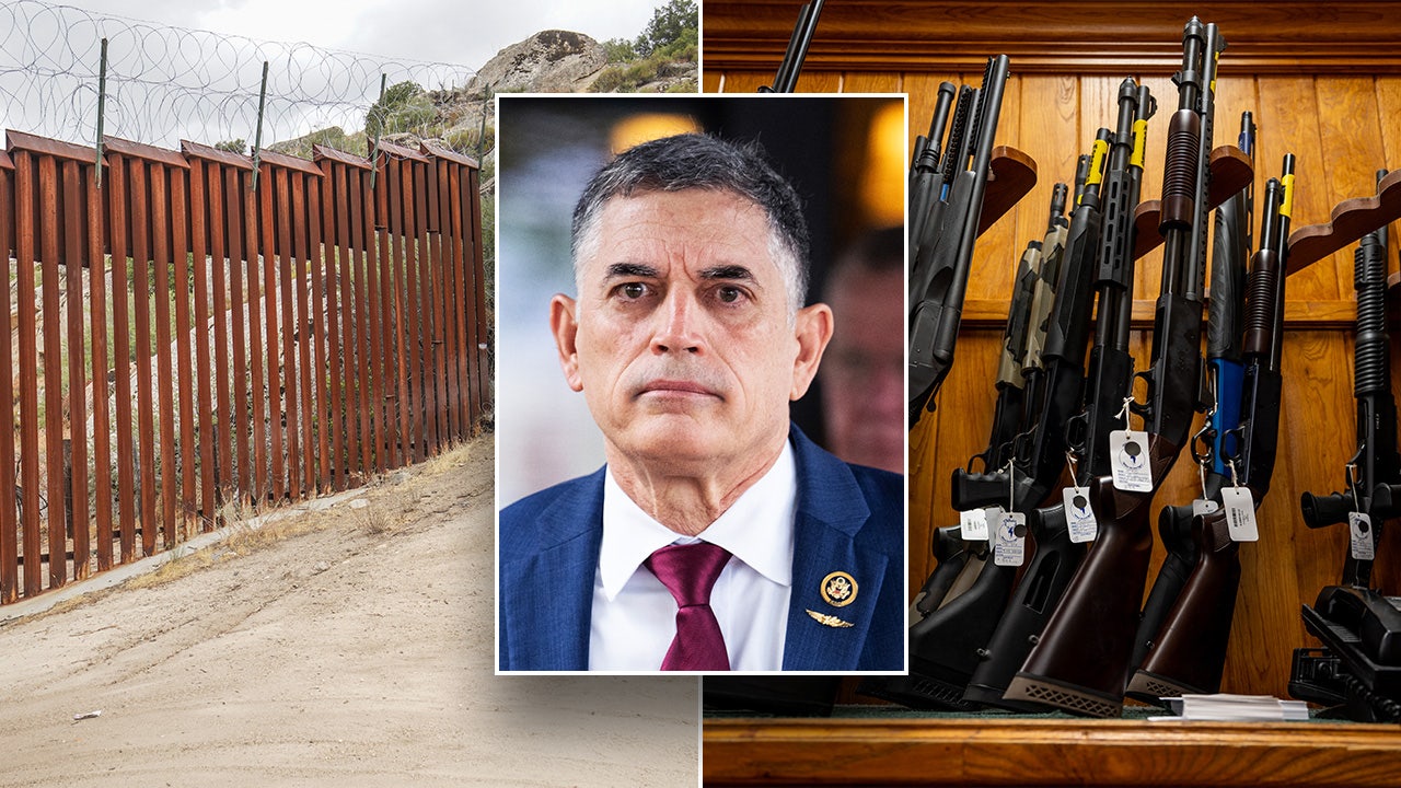 ‘No guns for illegal aliens’ bill rolled out by House GOP lawmaker