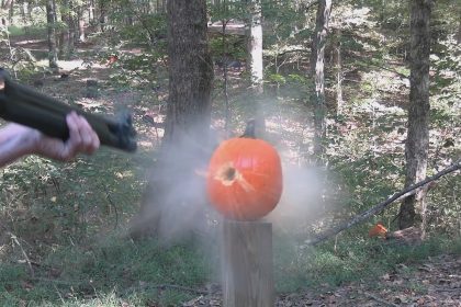 Pumpkin Killing Methods 2024