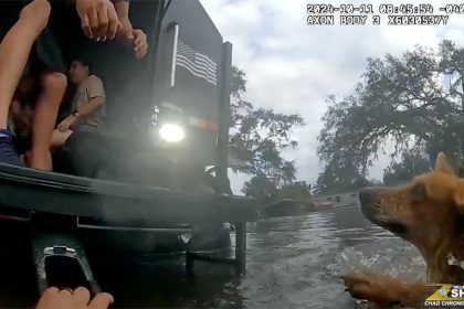 Video shows Hurricane Milton-impacted family, dogs rescued from floodwaters