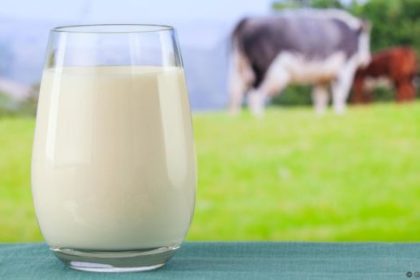 Rulers Warn Against Drinking Raw Milk