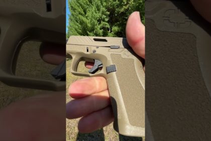 Shadow Systems MR920 Elite FDE (Would you carry it?)