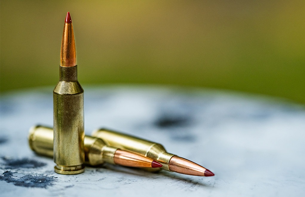 A Closer Look At Hornady’s .22 ARC