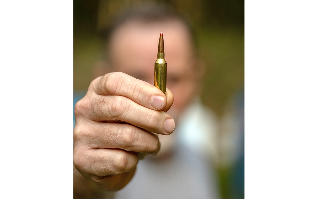 Hornady 22 ARC in hand