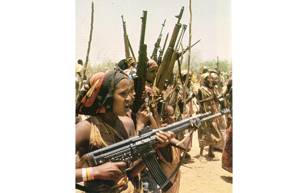 Somali guerrilla stg 44