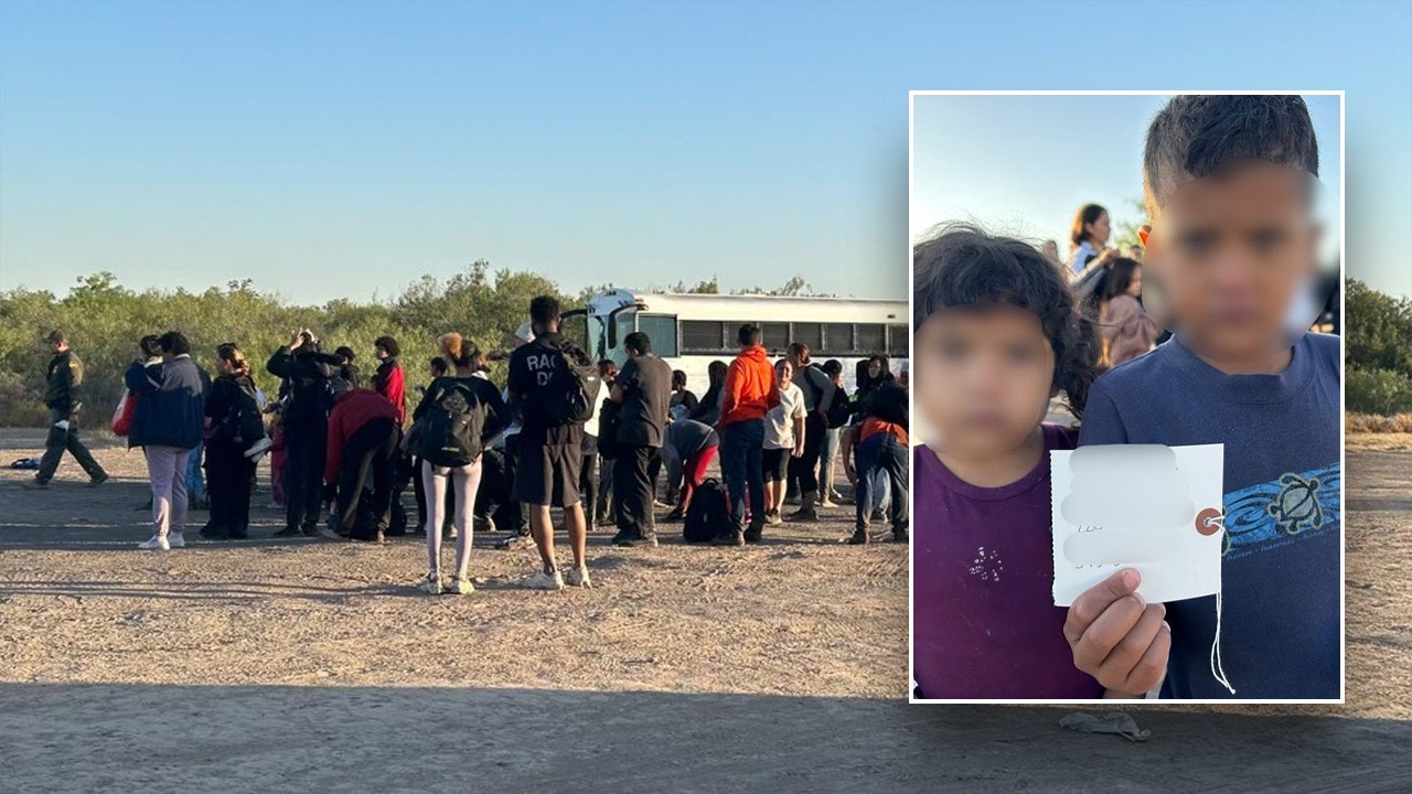 Young siblings discovered with address on piece of paper among massive group of illegals at border