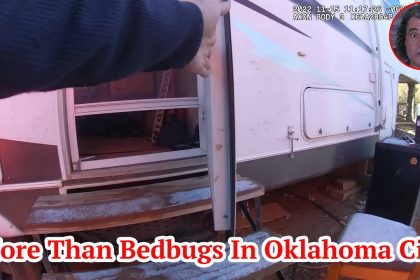 More Than Bedbugs In Oklahoma City