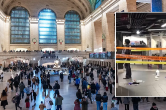 NYC Grand Central Christmas slashing suspect cries out to mother during court appearance