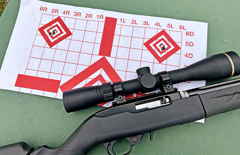 ruger 1022 w target rimfire rifle