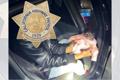 California Highway Patrol gets in some monkey business during routine stop