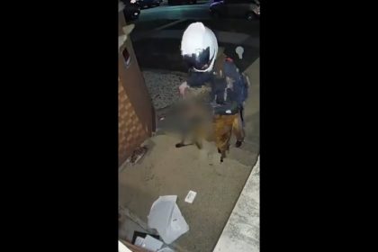 What are your thoughts on doorbell cameras?