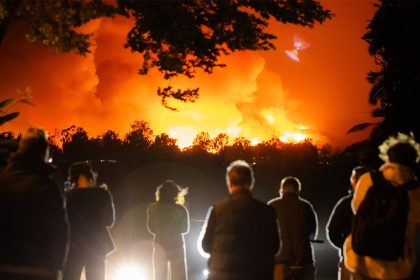 Los Angeles wildfires: City’s infamous red tape preventing private security from helping homeowners, firms say