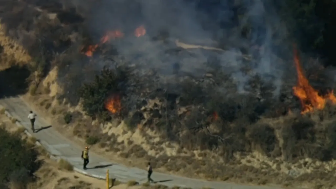 California wildfires: Suspect arrested in connection with brush fire quickly quashed by firefighters