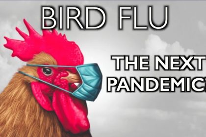 Is The Bird Flu Threat Diminishing?