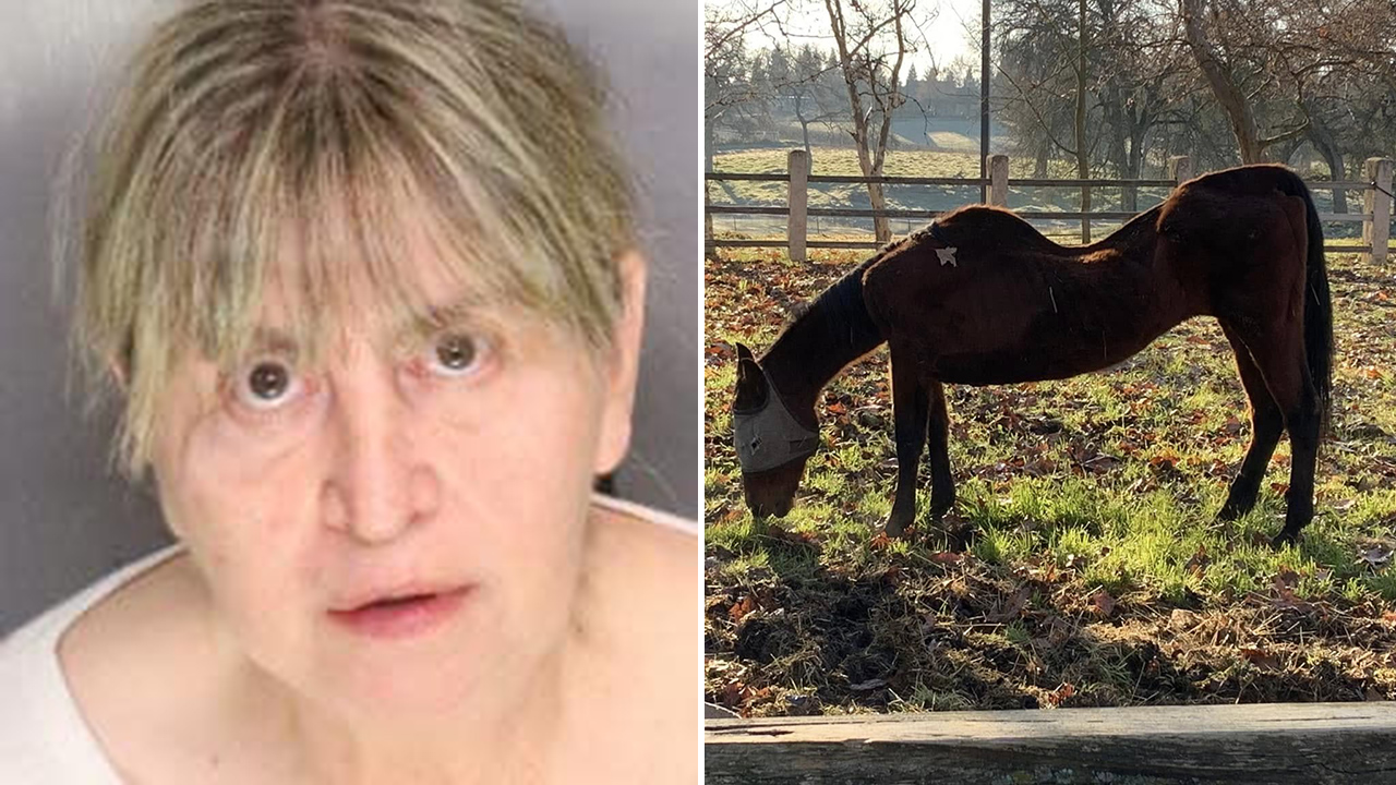 27 dead horses found in California, leading to woman’s arrest