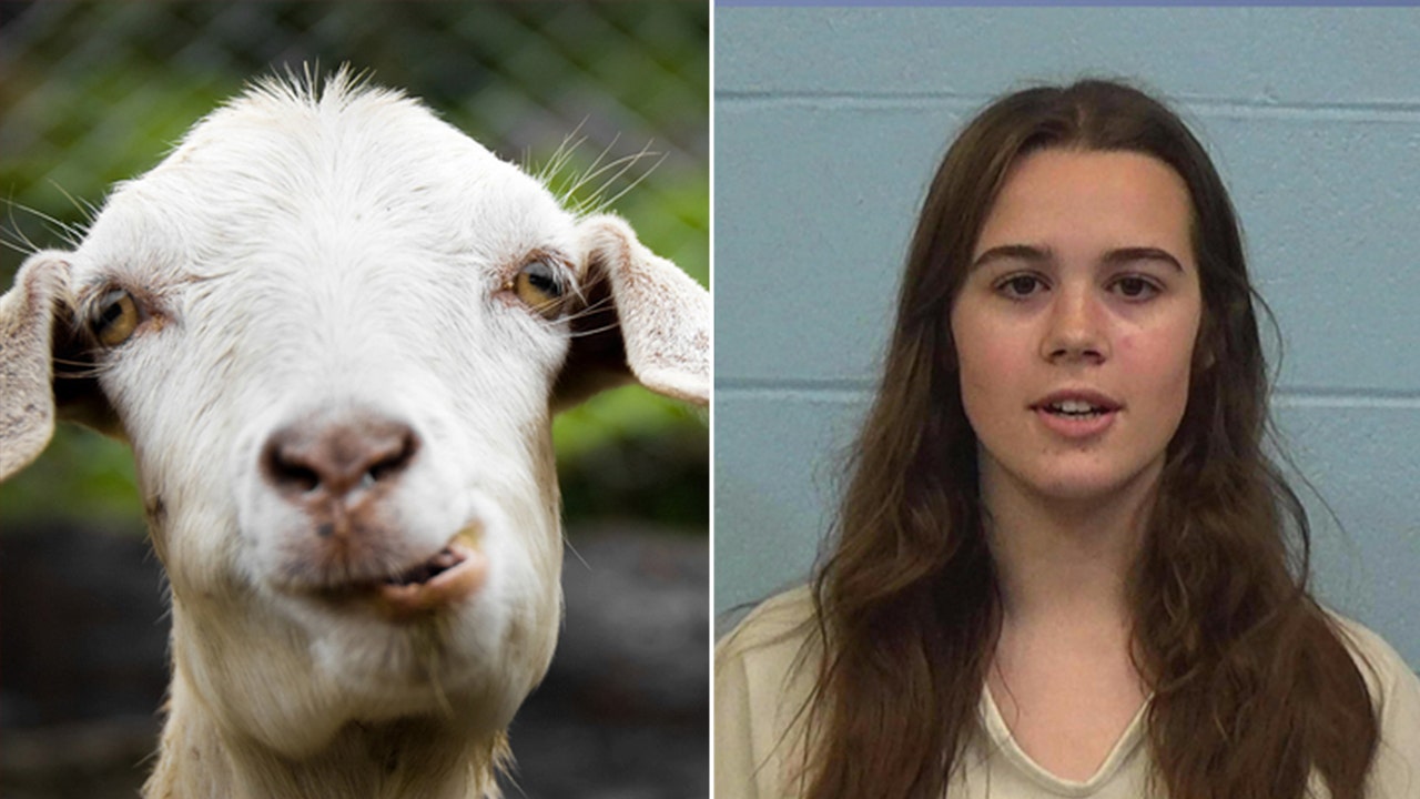 Texas cheerleader accused of poisoning rival’s show goat barred from caring for her pets on her own