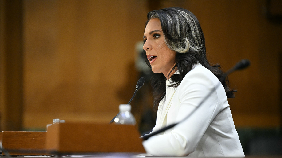 Tulsi Gabbard testifying