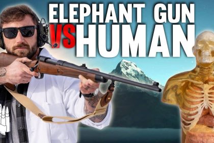 Elephant Gun Vs Human