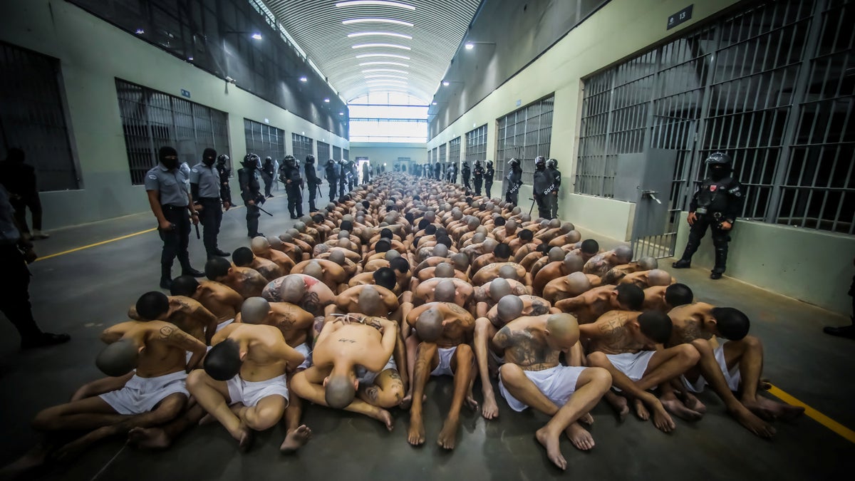 MS-13 gangs violence