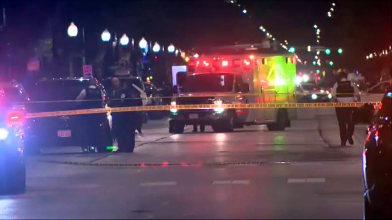 Chicago dubbed America’s murder capital as Democrat leaders ‘demonize’ police, splurge on migrants: alderman