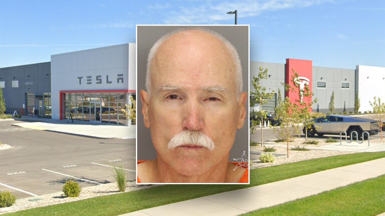 Idaho man hits pro-Tesla demonstrator with car after he exited his truck that had Trump flags: police