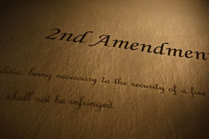 Fifteen Reasons to Own a Gun