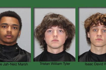 South Carolina arrests 3 young men for allegedly starting wildfire after failing to extinguish cigarettes