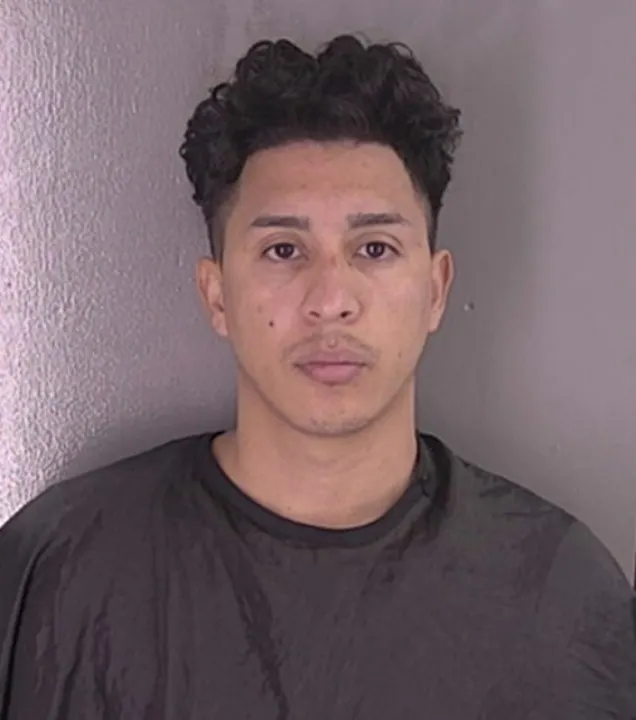 Illegal immigrant charged after Virginia man found stabbed to death in stranger’s home: ICE