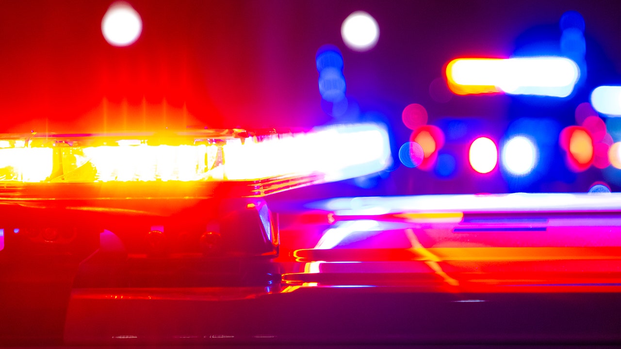 Foster mom accused of exchanging child for exotic animal in bizarre trade