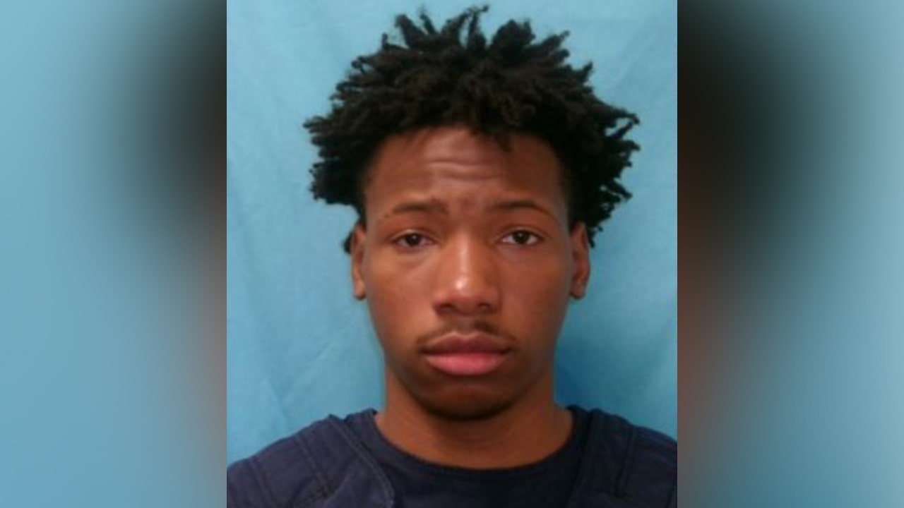 Accused Austin Metcalf killer won’t face death penalty or life without parole: DA