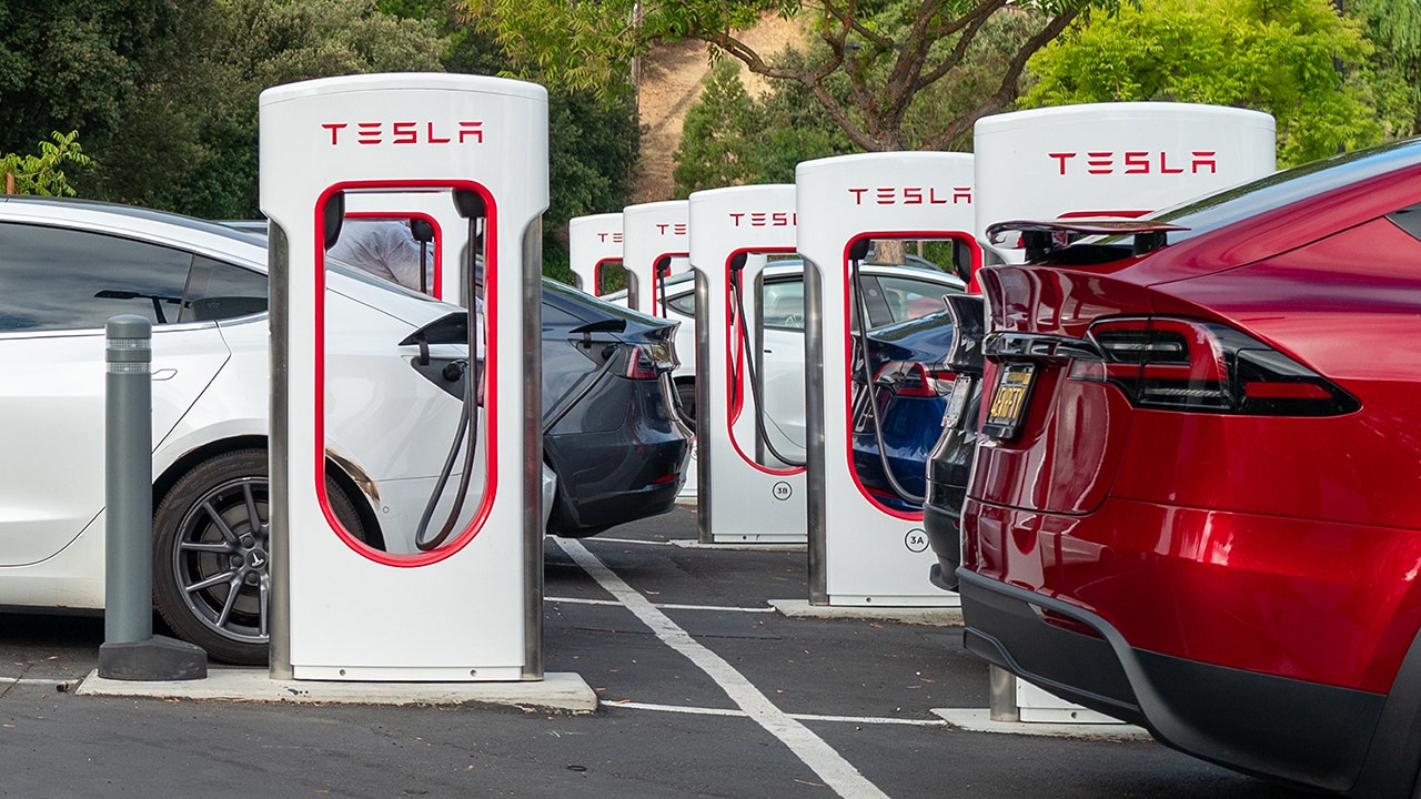 Tesla owners should stay vigilant with safety steps as feds combat ‘domestic terrorism’: retired sergeant