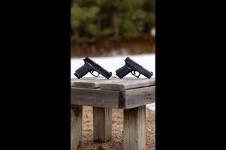 Which would you pick? (GLOCK 19 or RUGER RXM)