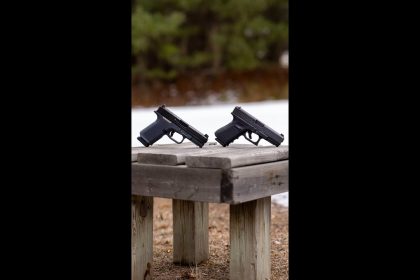 Which would you pick? (GLOCK 19 or RUGER RXM)