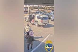 Good Samaritans save Florida mother, two small children from attempted kidnapper in dramatic video