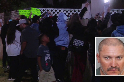 Angry mob targets wrong house after accused serial cat killer released from jail as vigil turns violent