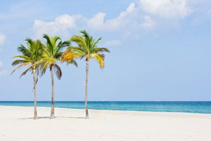 Spring break crime plummeted in Florida hot spot after warning goes viral