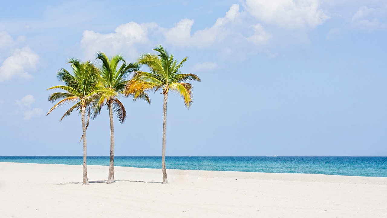 Spring break crime plummeted in Florida hot spot after warning goes viral