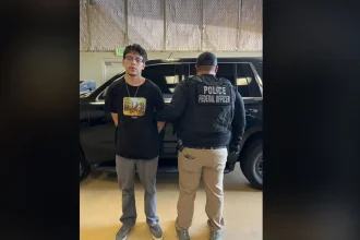 Illegal immigrant with weapons conviction arrested in California as ICE targets criminals