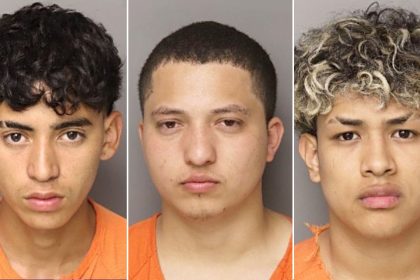 Six illegal migrants charged in South Carolina mother’s murder defy ‘decency’ in ‘civilized society’: sheriff