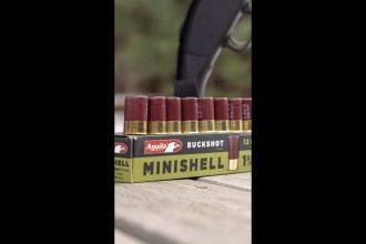 Would you rather have 9 mini shells than 4 standard shells?