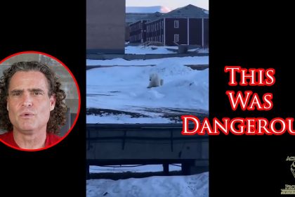 Polar Bear Comes After Villager On Remote Arctic Island