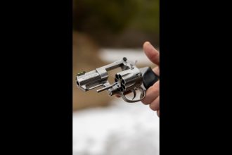 Would you want one? (Ruger GP100)